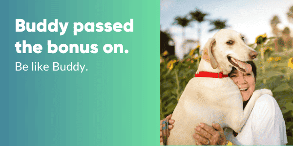 Buddy the dog made the right choice. He passed the bonus onto his friend. Look how happy he is!